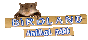 Birdland Animal Park - Darwin Tourism
