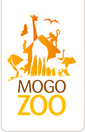 Mogo Zoo - Darwin Tourism