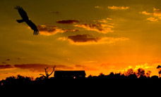 Werribee Open Range Zoo - Darwin Tourism 1
