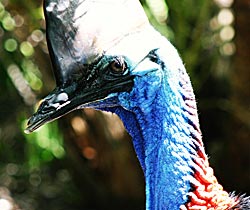 Dakabin QLD Darwin Tourism