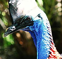 Alma Park Zoo - Darwin Tourism