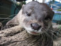 Underwater World - Darwin Tourism 1