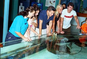 Underwater World - Darwin Tourism 3