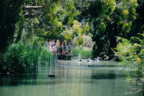 Cleland Wildlife Park - Darwin Tourism 1