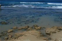 Braddon ACT Darwin Tourism