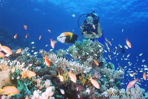 Mandalay QLD Darwin Tourism
