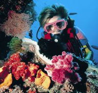 Gold Coast Seaway Dive Site - Darwin Tourism