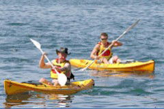 Manly Kayaks - Darwin Tourism 0
