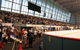 Sydney Ice Arena - thumb 2