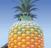 The Big Pineapple - Darwin Tourism