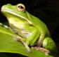 The Rainforest Habitat - Darwin Tourism