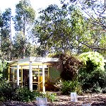 Koala Conservation Centre - Darwin Tourism 1