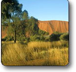 Uluru - Kata Tjuta National Park - Darwin Tourism