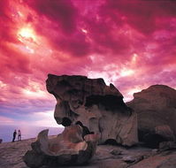 Kangaroo Island Adventure Tour 2 day/1 night - Darwin Tourism