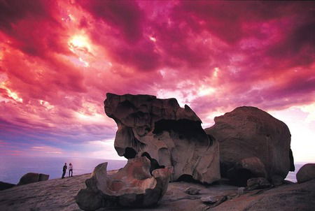 Kangaroo Island Adventure Tour 2 Day/1 Night - Darwin Tourism 0