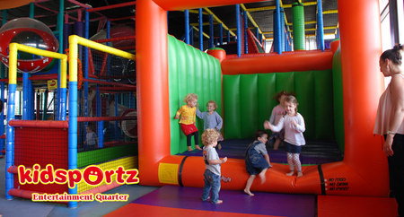 Cool Cats - Darwin Tourism 1