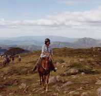 High Country Horses - Darwin Tourism