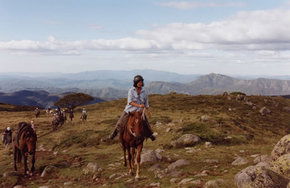 High Country Horses - Darwin Tourism 0