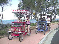 Book Hervey Bay QLD Attractions Darwin Tourism Darwin Tourism