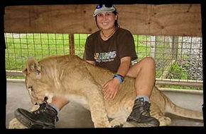 Cairns Wildlife Safari Reserve - Darwin Tourism 1