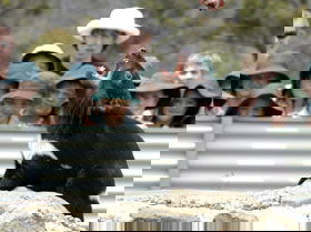 Ravenswood TAS Darwin Tourism