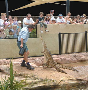 Symbio Wildlife Gardens - Darwin Tourism 3
