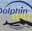 Dolphin Wild - Darwin Tourism