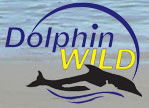 Dolphin Wild - Darwin Tourism 0