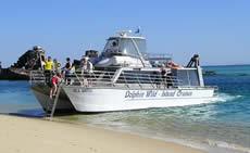 Dolphin Wild - Darwin Tourism 2