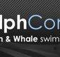 Dolphcom - Dolphin  Whale Swimming Adventures - Darwin Tourism