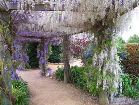 Furnissdale WA Darwin Tourism