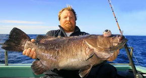 Bravo Fishing Charters - Darwin Tourism 0
