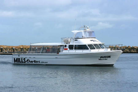 Mills Charters Fishing And Whale Watch Cruises - Darwin Tourism 1