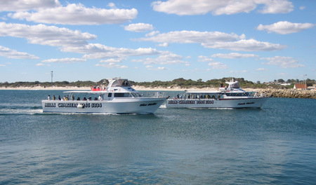 Mills Charters Fishing And Whale Watch Cruises - Darwin Tourism 2