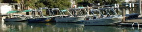 Brooklyn Central Boat Hire & General Store - Darwin Tourism 1
