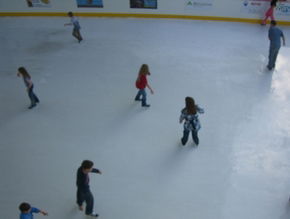 Liverpool Catholic Club Rink - Darwin Tourism 3