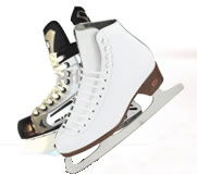 Bendigo Ice Stadium - Darwin Tourism 0