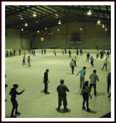 Bendigo Ice Stadium - Darwin Tourism 1