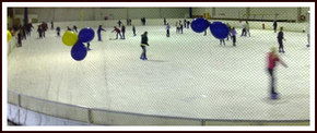 Bendigo Ice Stadium - Darwin Tourism 2