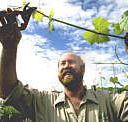 Barossa Experience Tours - Darwin Tourism