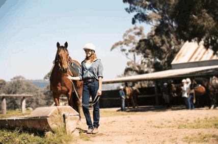Watsons Trail Rides - Darwin Tourism 0