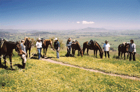 Watsons Trail Rides - Darwin Tourism 1