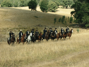 McCormacks Mountain Valley Trail Rides - Darwin Tourism 0