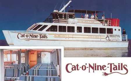 Cat O' NineTails - Darwin Tourism 1