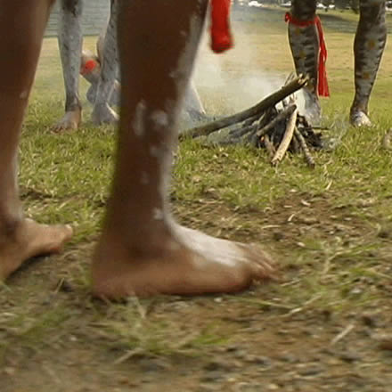 Musgrave Park Cultural Centre - Darwin Tourism 1