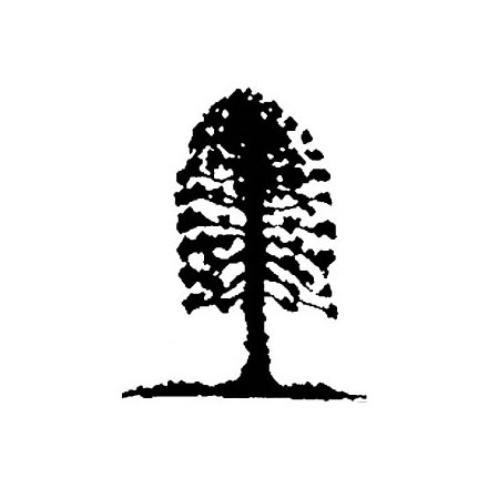 Musgrave Park Cultural Centre - Darwin Tourism 2