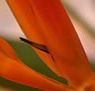 Zen Day Spa - Darwin Tourism