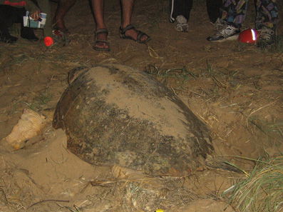 Footprints Adventures - Darwin Tourism 3