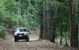 Lamington National Park And OReillys - thumb 2