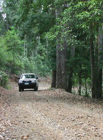 Lamington National Park And OReillys - Darwin Tourism 2